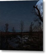 Legend Of Peter Scott Swamp Metal Print