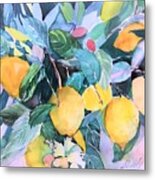 Lemon Tree Metal Print