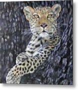 Leopard Lookout Metal Print