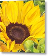 Let Me Brighten Your Day Metal Print