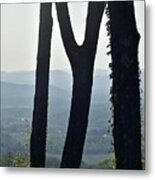 Letter M Made With Tree Trunks With Mountain View Metal Print