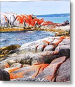 Lichen Covered Rocks Metal Print