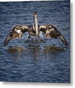 Liftoff Metal Print