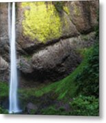 Light On Latourell Falls Metal Print