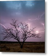 Lightning Tree Metal Print