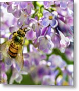 Lilac Bee Metal Print