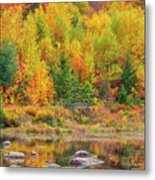 Lily Pond In The New Hampshire White Mountains Metal Print