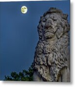 Lion And The Moon Metal Print