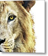 Lion Art - King Of The Jungle Metal Print