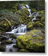 Little Bird Falls 2 Metal Print