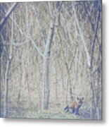 Little Fox In The Woods 2 Metal Print
