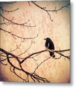 Lone Crow Contemplating The Nature Of Reality Metal Print