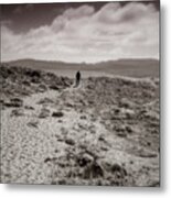 Lone Hiker On The Abbotts Lagoon Trail In Monochrome Metal Print