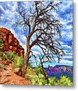 Lone Tree At Airport Mesa Metal Print