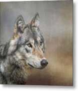 Lone Wolf Metal Print