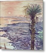 Lonely Palm At Sunrise Metal Print