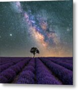 Lonely Tree In A Lavender Field Under The Milky Way Metal Print