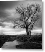 Lonely Tree On The Road Less Traveled Metal Print