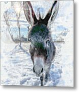 Long Ears Metal Print