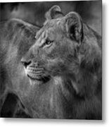 Long Wait Metal Print