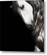 Lord Of The Dance - Horse Art Metal Print