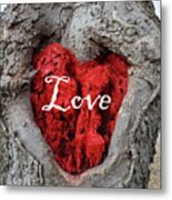 Love Red Heart In A Tree Metal Print
