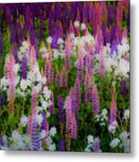 Lupineland Metal Print