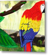 Macaw Metal Print