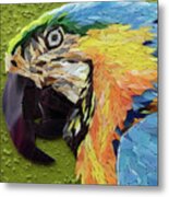 Mackey The Blue And Yellow Macaw Metal Print