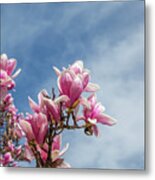 Magenta Petals Metal Print