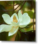 Magnolia Art Metal Print