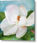 Magnolia Metal Print