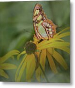Malachite Butterfly Through The Leaves Metal Print