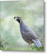 Quail In Spring Metal Print