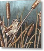 Marsh Wren Singing Metal Print