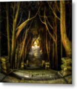 Mateus - Cypress Tunnel From The Top Metal Print