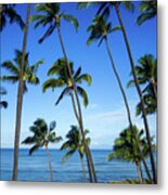 Maui Paradise Metal Print