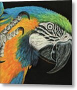 Max The Macaw #1 Metal Print