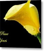 May Peace Be Yours Metal Print
