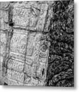 Mayan Wall Carvings - Chichen Itza Metal Print