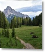Meadow In The Dolomites Metal Print