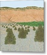 Mesa View From The Ranch Metal Print