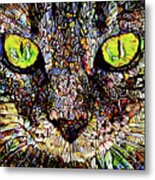 Mesmerizing Tabby Cat Portrait Metal Print