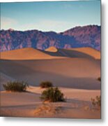 Mesquite Dunes In Death Valley Metal Print