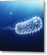 Microscopic View Of Bacilli Bacterium Swimming Through Body Metal Print