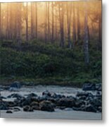 Misty Morning At The Beach Metal Print