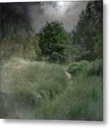 Misty River In The Latvian Countryside Metal Print