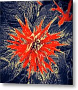 Monarda Metal Print