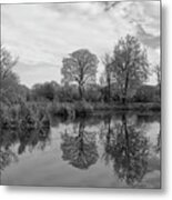 Monochrome Lake In Alkington Woods, Uk Metal Print