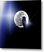 Moon Gaze Metal Print